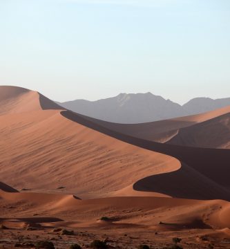 Escapadas de un día desde Marrakech: explorando las montañas del Atlas y el desierto cercano